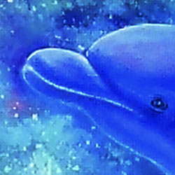 Delfíni - Obrázek pro dnešní den č.125