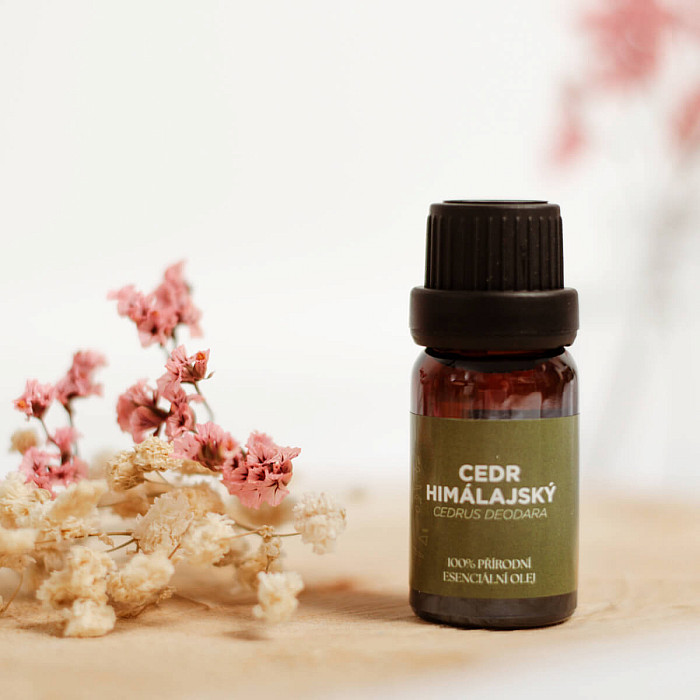 By Nefertitis Cedr himálajský 100% esenciální olej 10 ml - 10 ml