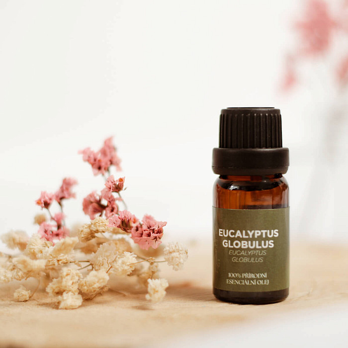 By Nefertitis Eucalyptus globulus 100% esenciální olej 10 ml - 10 ml