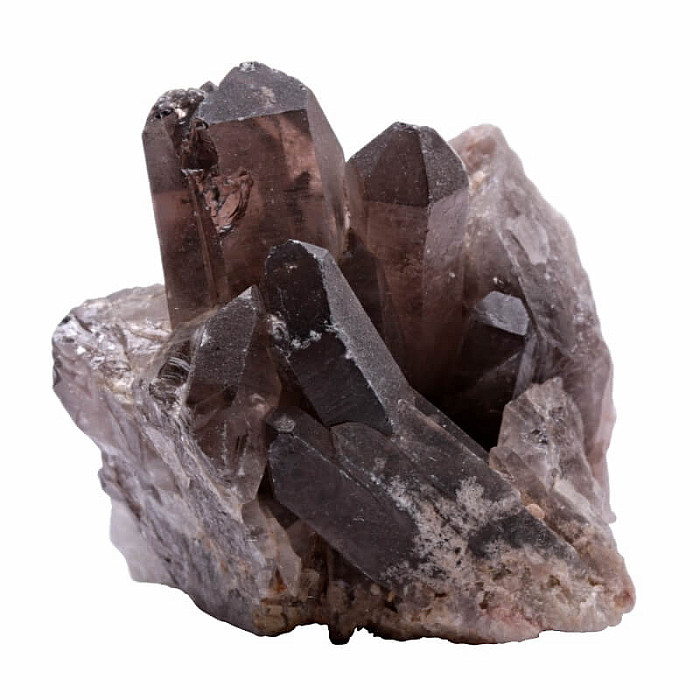 Záhněda drůza AA kvalita - 500 - 650 g