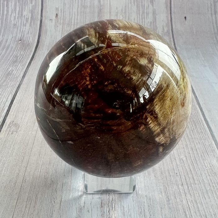 Zkamenělé dřevo koule Madagaskar 13 - cca ø 7