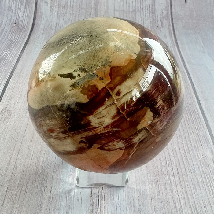 Zkamenělé dřevo koule Madagaskar 14 - cca ø 7