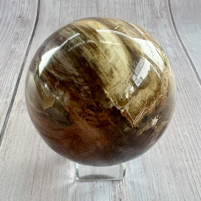 Zkamenělé dřevo koule Madagaskar 17 - cca ø 7