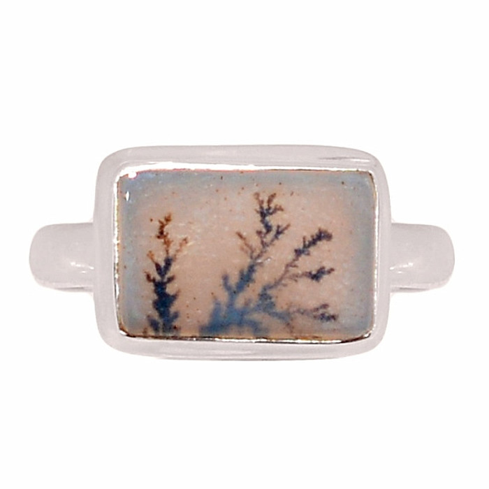 Achát dendritický prsten stříbro Ag 925 R2074 - 59 mm (US 9)