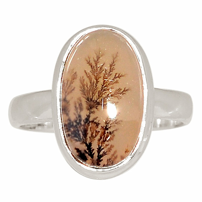 Achát dendritický prsten stříbro Ag 925 R2 - 51 mm (US 5