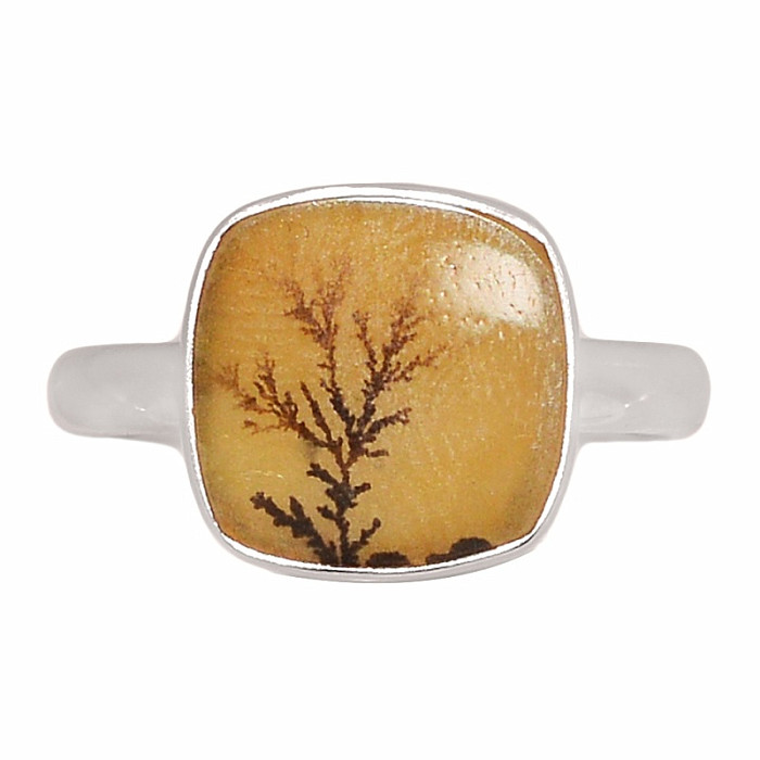 Achát dendritický prsten stříbro Ag 925 R2006 - 59 mm (US 9)