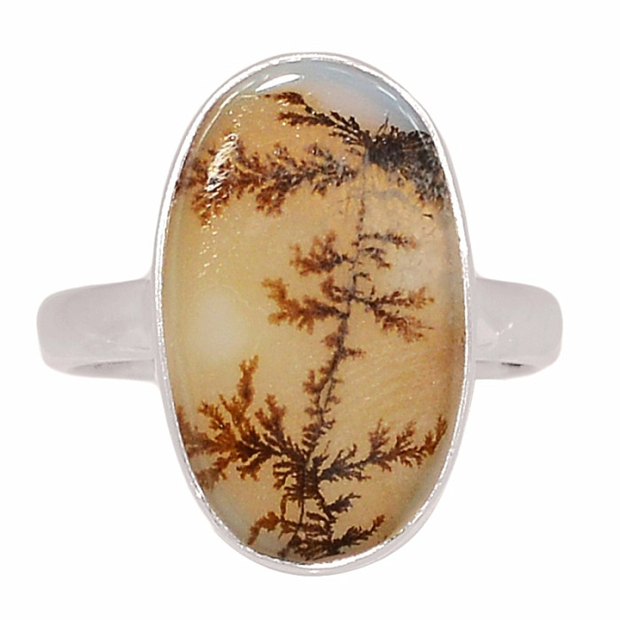 Achát dendritický prsten stříbro Ag 925 R2028 - 51 mm (US 5