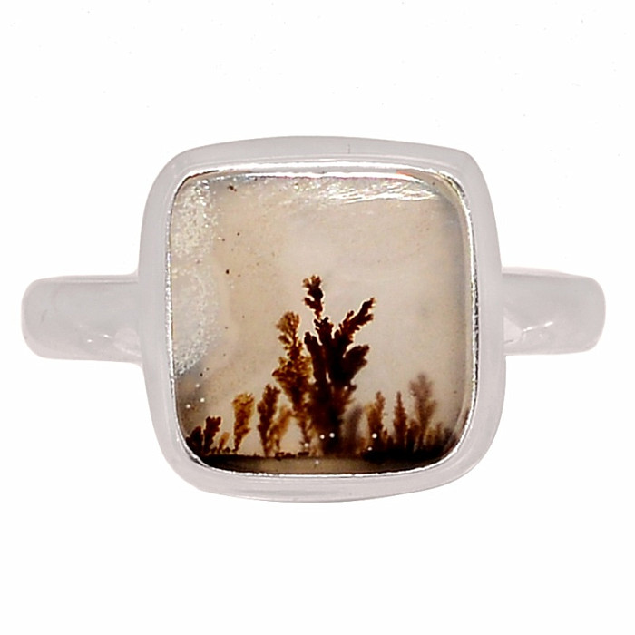 Achát dendritický prsten stříbro Ag 925 R2042 - 59 mm (US 9)