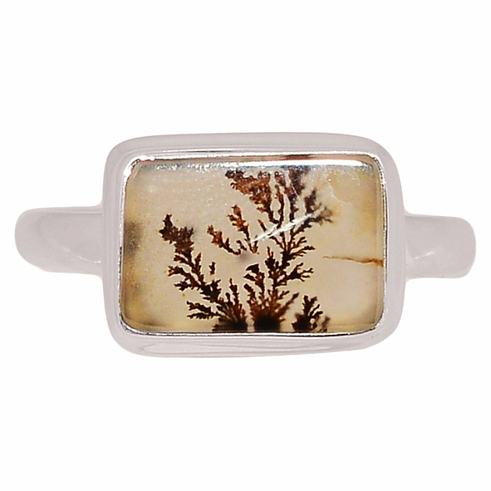 Achát dendritický prsten stříbro Ag 925 R2056 - 61 mm (US 9