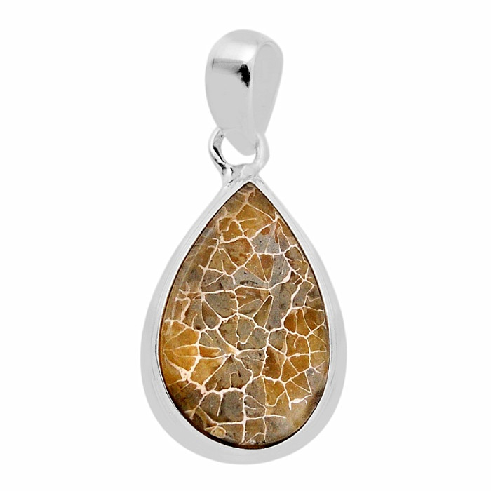 Korál petoskey stone přívěsek stříbro Ag 925 38142 - 2