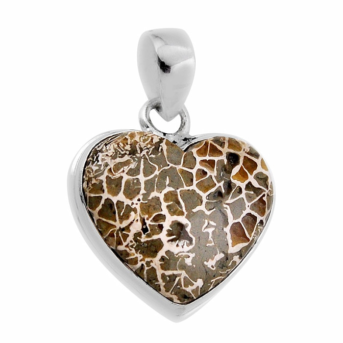 Korál petoskey stone přívěsek stříbro Ag 925 38144 - 1