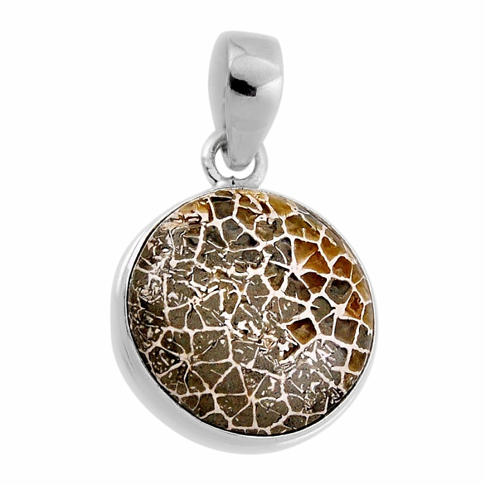 Korál petoskey stone přívěsek stříbro Ag 925 38145 - 2 cm