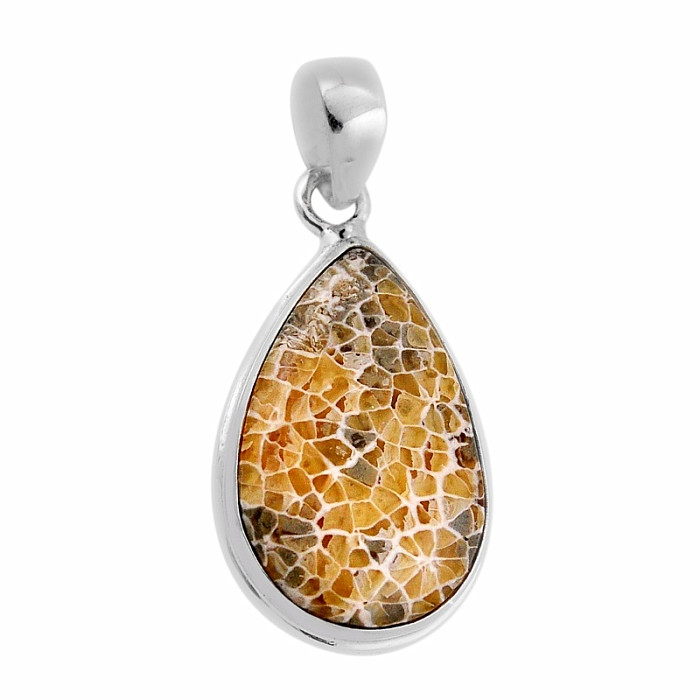 Korál petoskey stone přívěsek stříbro Ag 925 38154 - 2