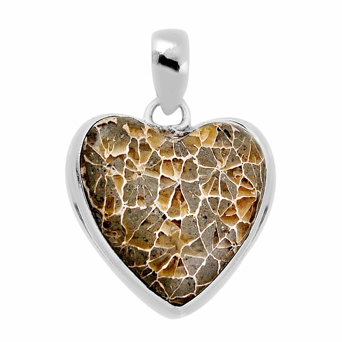 Korál petoskey stone přívěsek stříbro Ag 925 38155 - 2