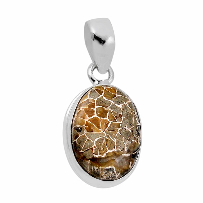 Korál petoskey stone přívěsek stříbro Ag 925 38157 - 1