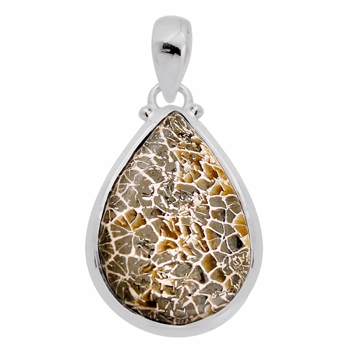 Korál petoskey stone přívěsek stříbro Ag 925 38163 - 2
