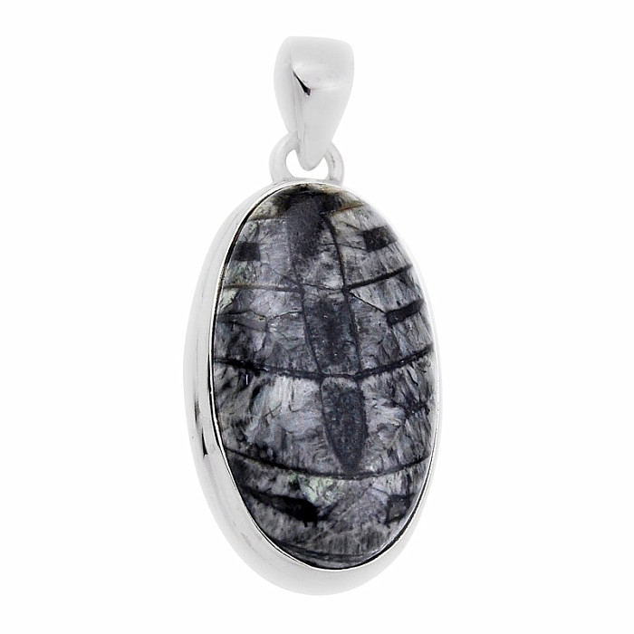 Orthoceras přívěsek stříbro Ag 925 31004 - 2