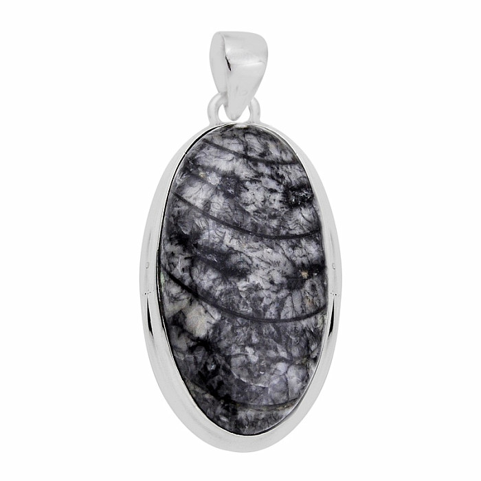 Orthoceras přívěsek stříbro Ag 925 31005 - 3