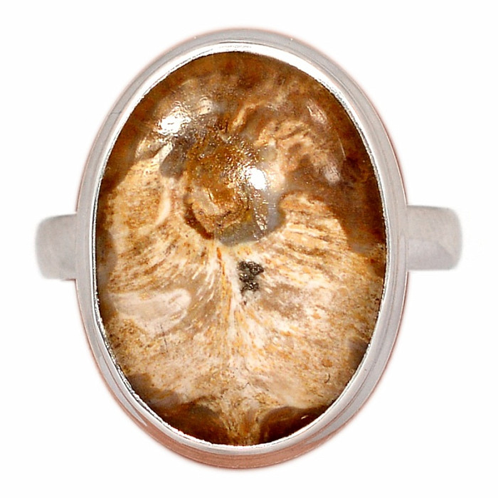 Zkamenělé dřevo prsten stříbro Ag 925 R89 - 55 mm (US 7