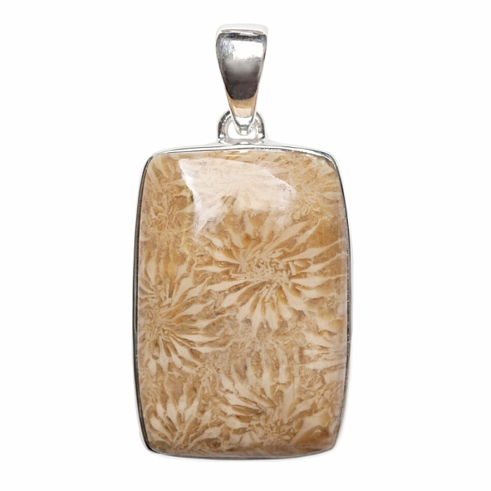 Korál fosilní indonéský přívěsek stříbro Ag 925 P454 - 3 cm