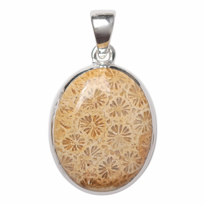 Korál fosilní indonéský přívěsek stříbro Ag 925 P463 - 2