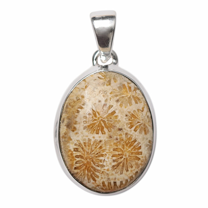 Korál fosilní indonéský přívěsek stříbro Ag 925 P472 - 2