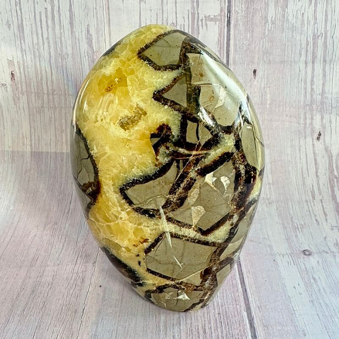 Septárie leštěná freeform Madagaskar TP8 č. 23 - cca 7