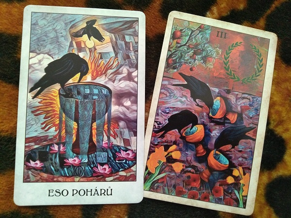 havraní tarot