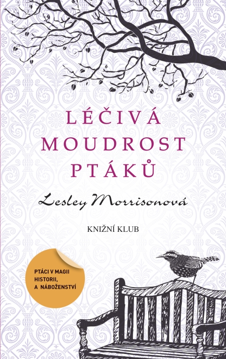 Léčivá moudrost ptáků aneb perutě lásky