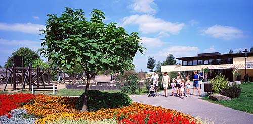 Nejen exotická zvířata, ale samotná procházka po ZOO Dvůr Králové je skvělý zážitek  - foto - Miroslav Podhrázský